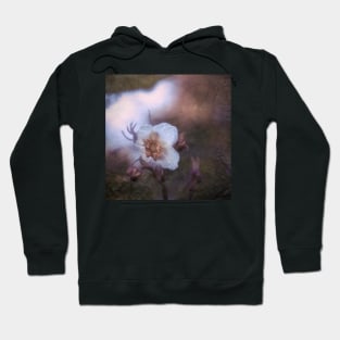 White flower in the night Hoodie